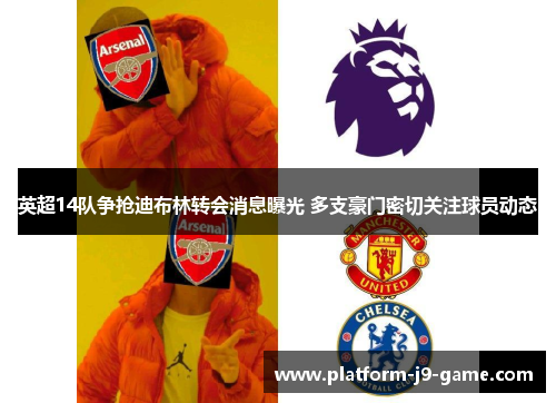 英超14队争抢迪布林转会消息曝光 多支豪门密切关注球员动态