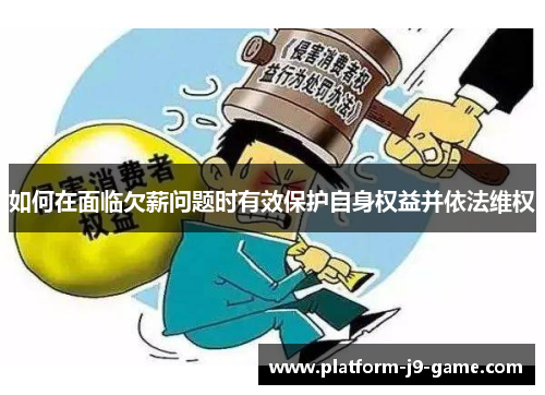 如何在面临欠薪问题时有效保护自身权益并依法维权