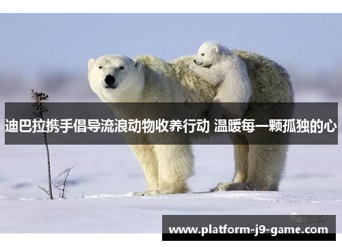 迪巴拉携手倡导流浪动物收养行动 温暖每一颗孤独的心