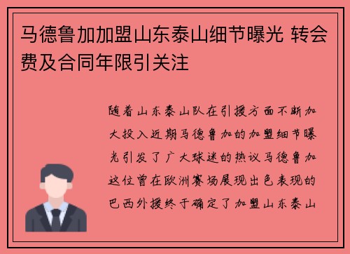 马德鲁加加盟山东泰山细节曝光 转会费及合同年限引关注 马德鲁加加盟山东泰山细节曝光 转会费及合同年限引关注